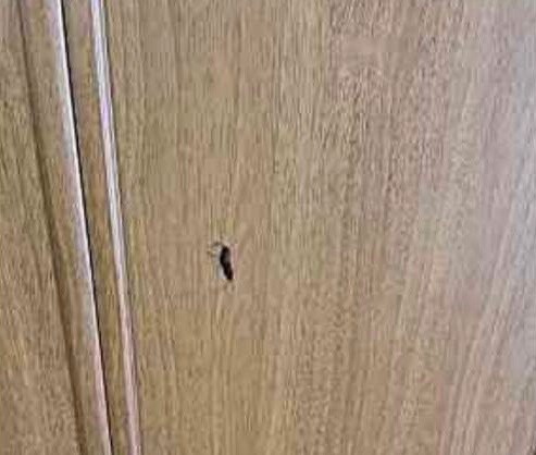 穴の開いたクローゼットの扉